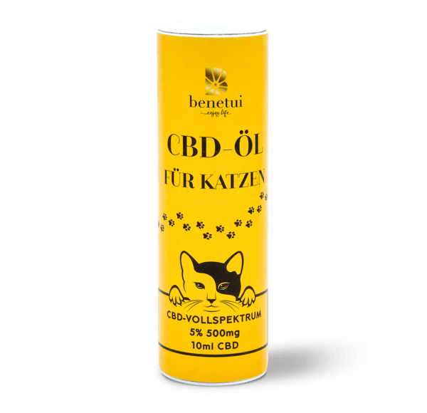 CBD Öl für Katzen